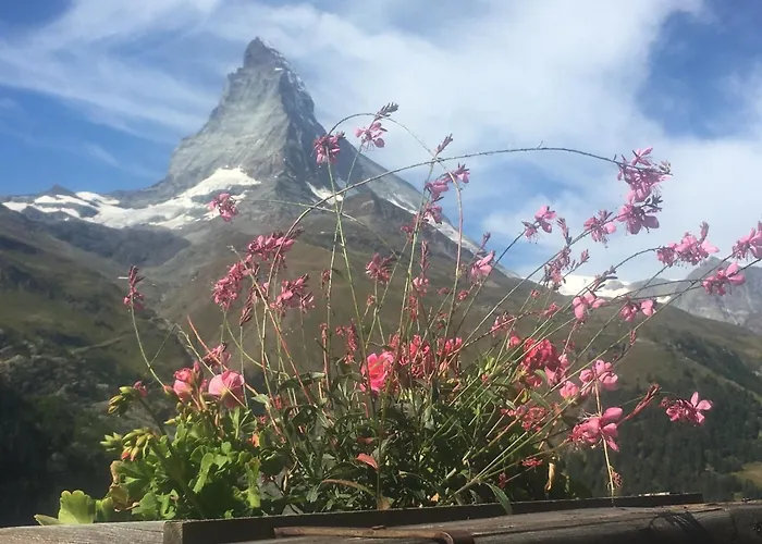 Apartamento Modernes *